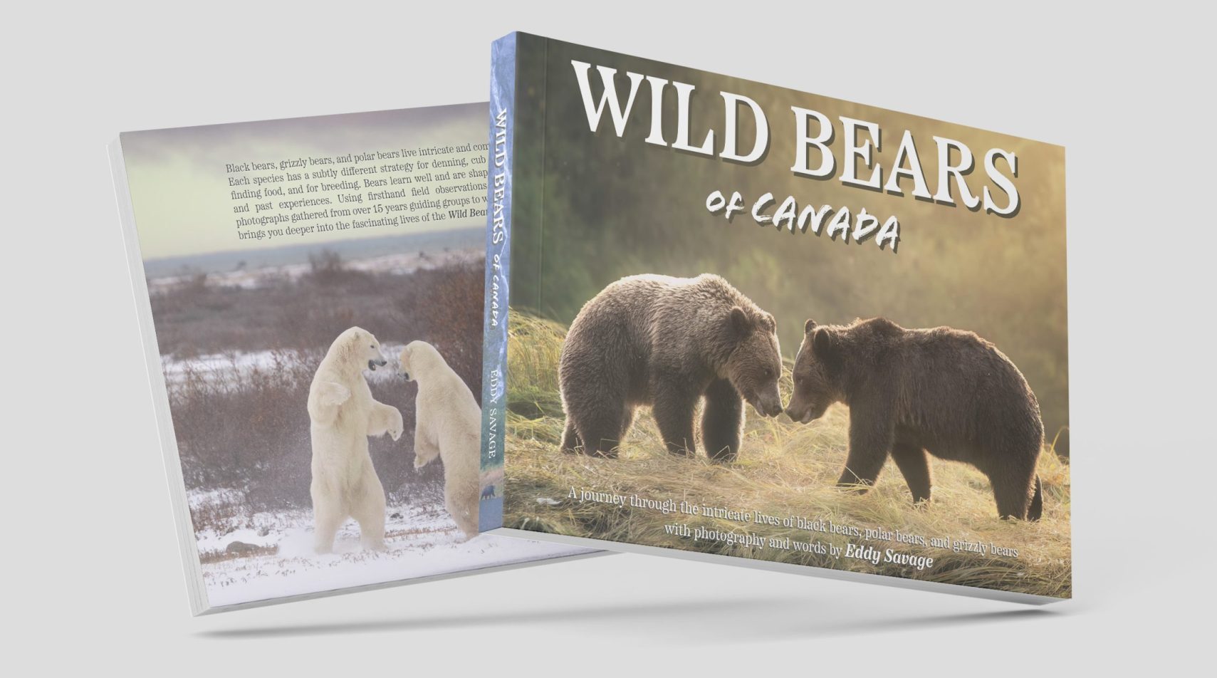 Wild Bears of Canada