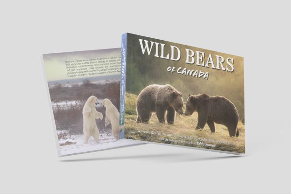 Wild Bears of Canada Hardcover Coffee Table Book by Eddy Savage - Image 4