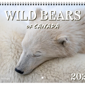 Limited Edition - Wild Bears of Canada 2025 Calendar