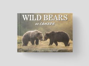Wild Bears of Canada by Eddy Savage