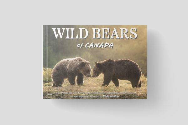 Wild Bears of Canada by Eddy Savage