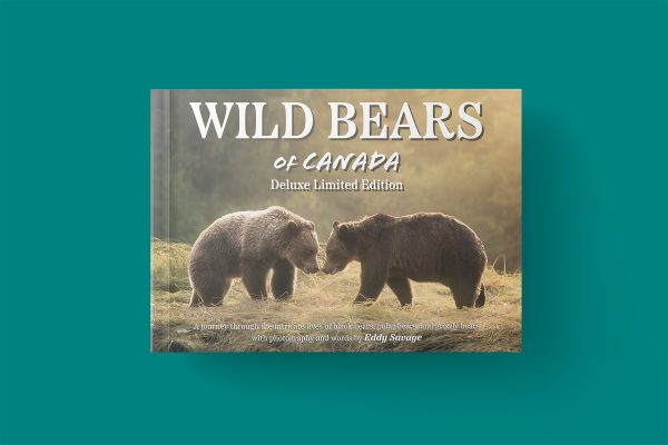 Limited Edition Book Package- Wild Bears of Canada - Image 3