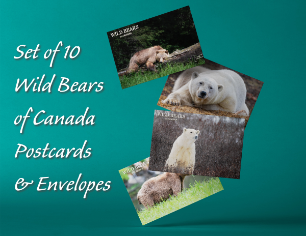 Limited Edition Book Package- Wild Bears of Canada - Image 6