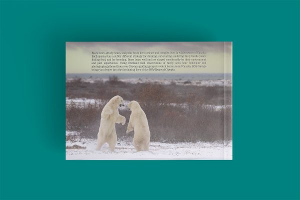 Limited Edition Book Package- Wild Bears of Canada - Image 4