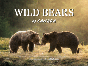Wild Bears of Canada Hardcover Coffee Table Book by Eddy Savage