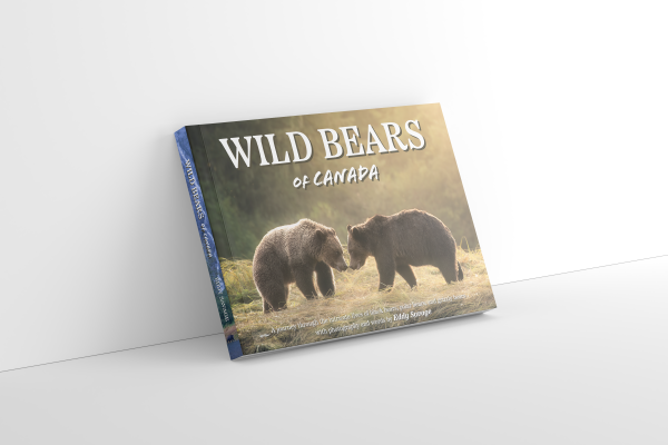 Wild Bears of Canada by Eddy Savage