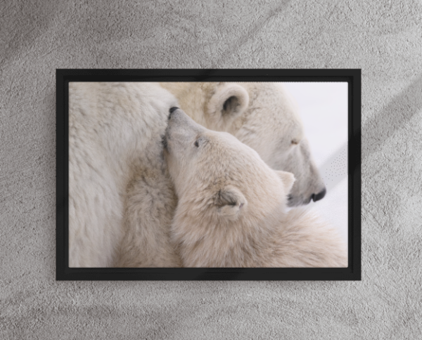 Mother & Cub Bond - Signed Limited Edition 1 of 10 - Image 2