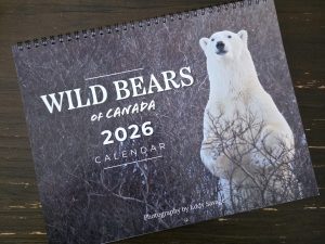 2026 Wild Bears of Canada Wall Calendar