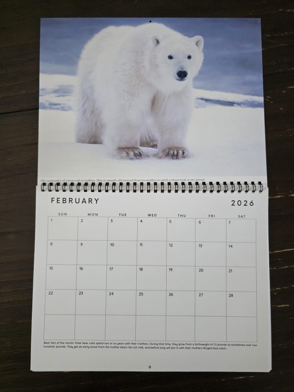 2026 Wild Bears of Canada Wall Calendar - Image 3