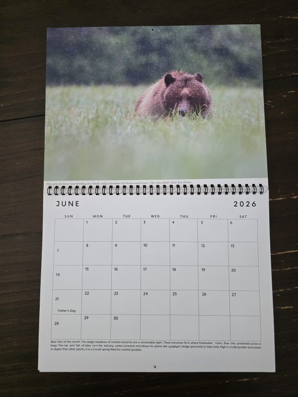 Early Bird: 2026 Calendar- Wild Bears of Canada (1 of 100) - Image 4