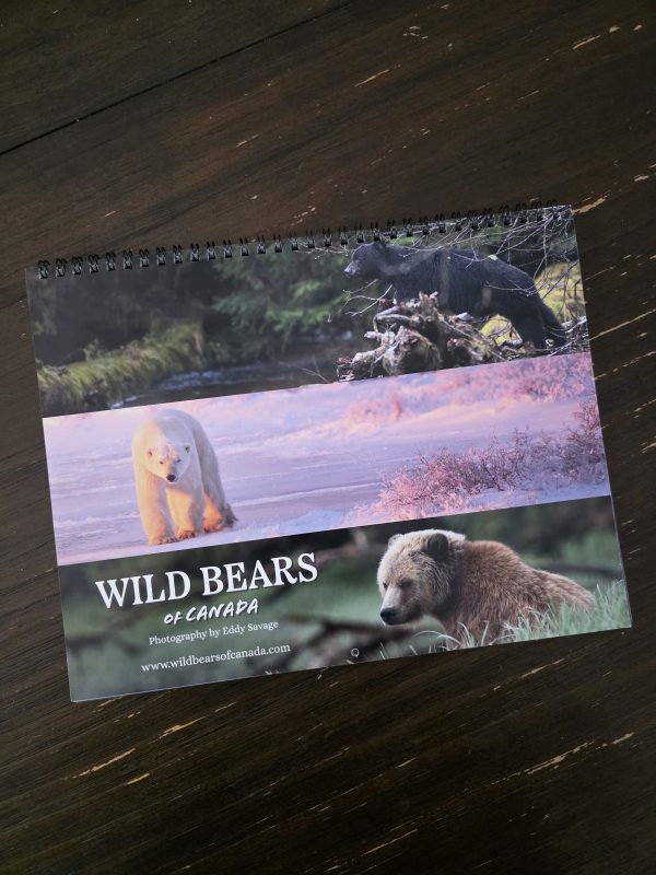 Early Bird: 2026 Calendar- Wild Bears of Canada (1 of 100) - Image 6