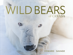 Wild Bears of Canada Coffee Table Book - Polar Bear Cover
