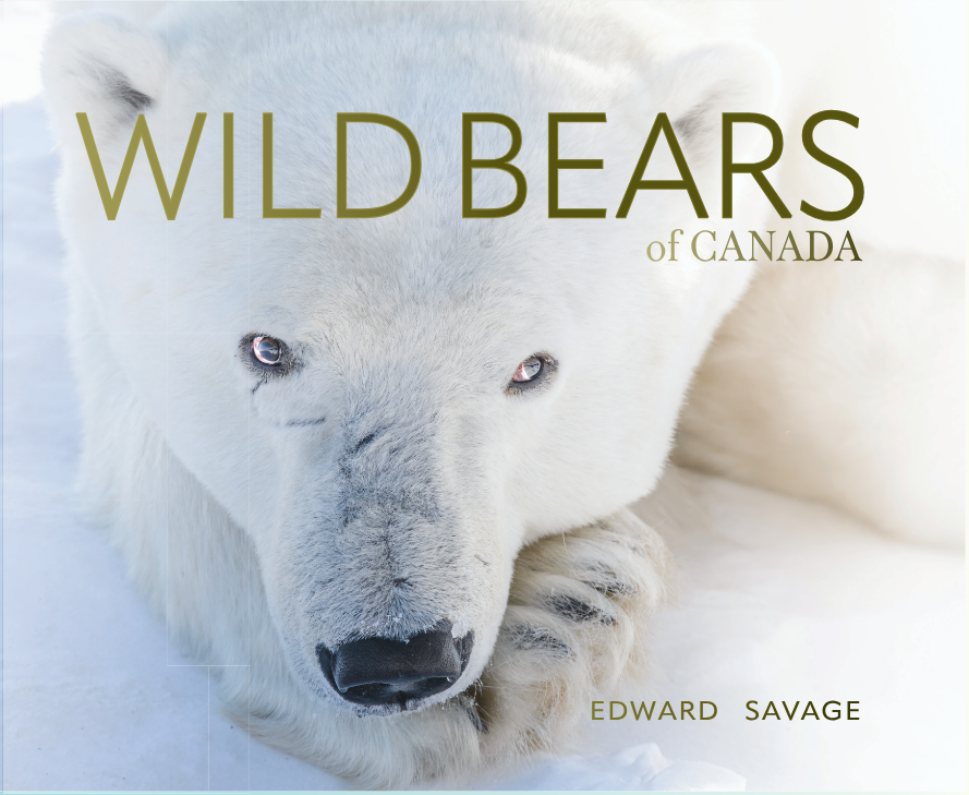 Wild Bears of Canada Coffee Table Book - Polar Bear Cover