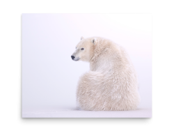 A Quick Glance - Print