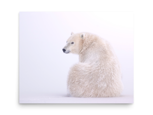 A Quick Glance - Print