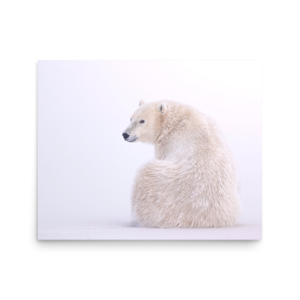 A Quick Glance - Print